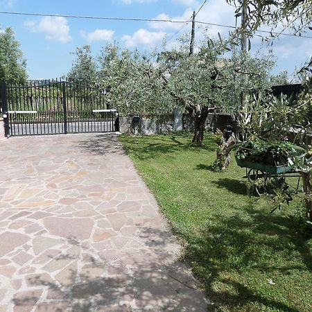 B&B Villino Lory Марино Экстерьер фото